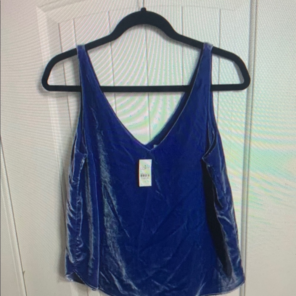 Blue Velvet Women's Top
